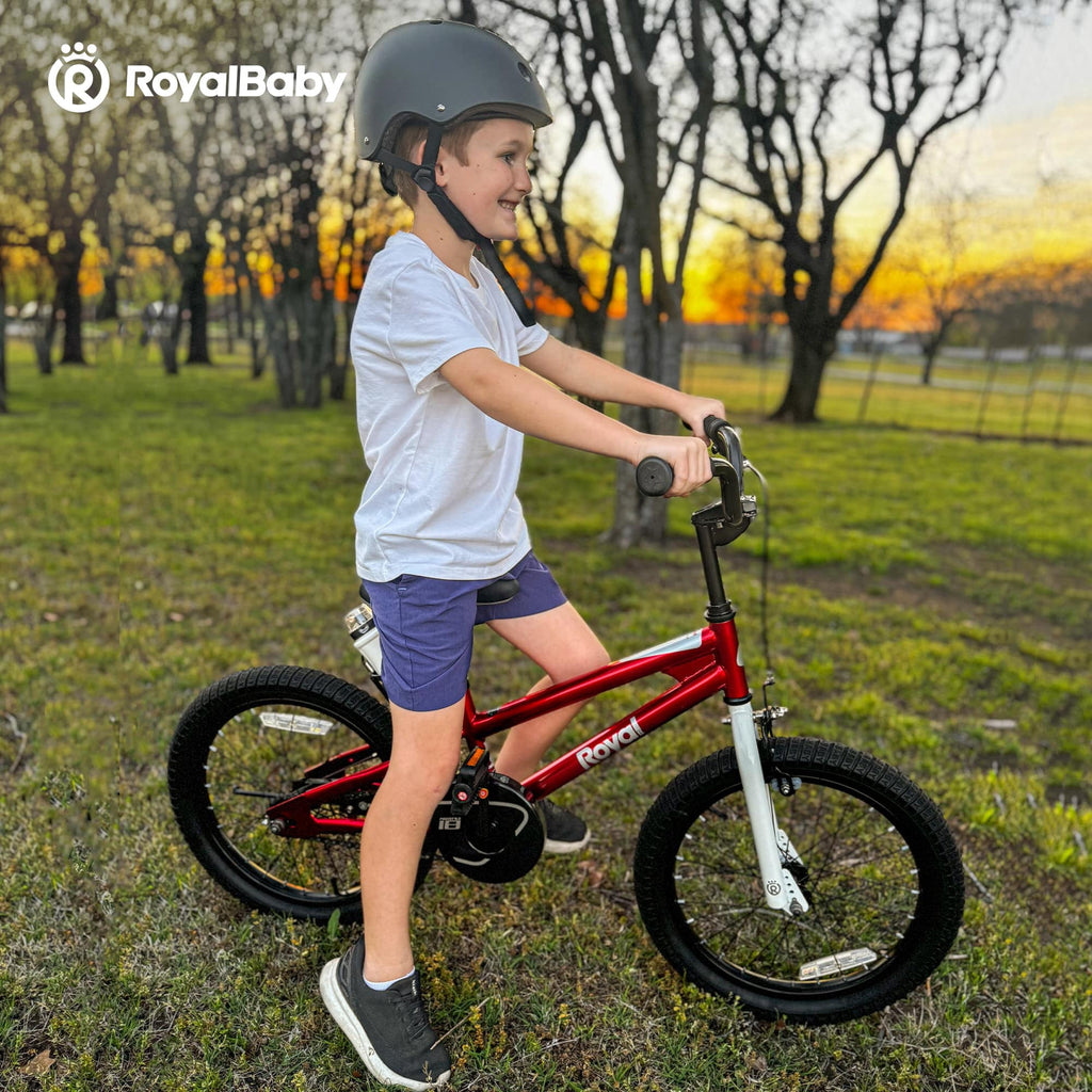 Royalbaby Boys Girls Kids Bike 14 In BMX Freestyle Blue 2 Hand Brakes Bicycles with Training Wheels Child Bicycle