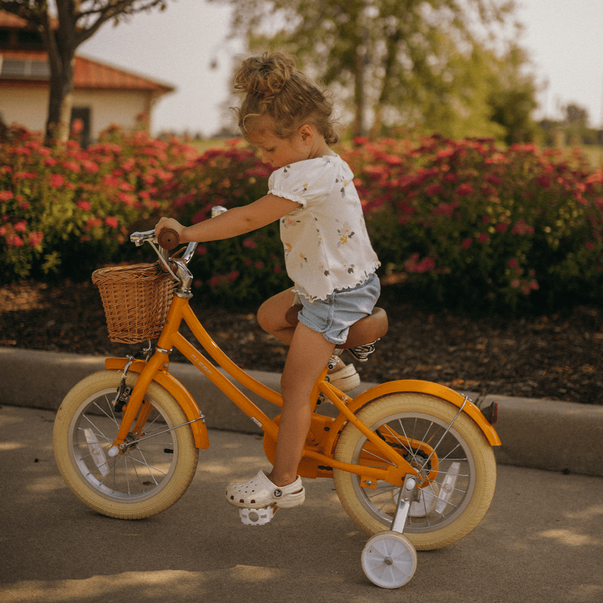 Glerc Little Molly 20 inch Kids Girls Bike for 7-13 Years Old Child,gifts, Mint Green