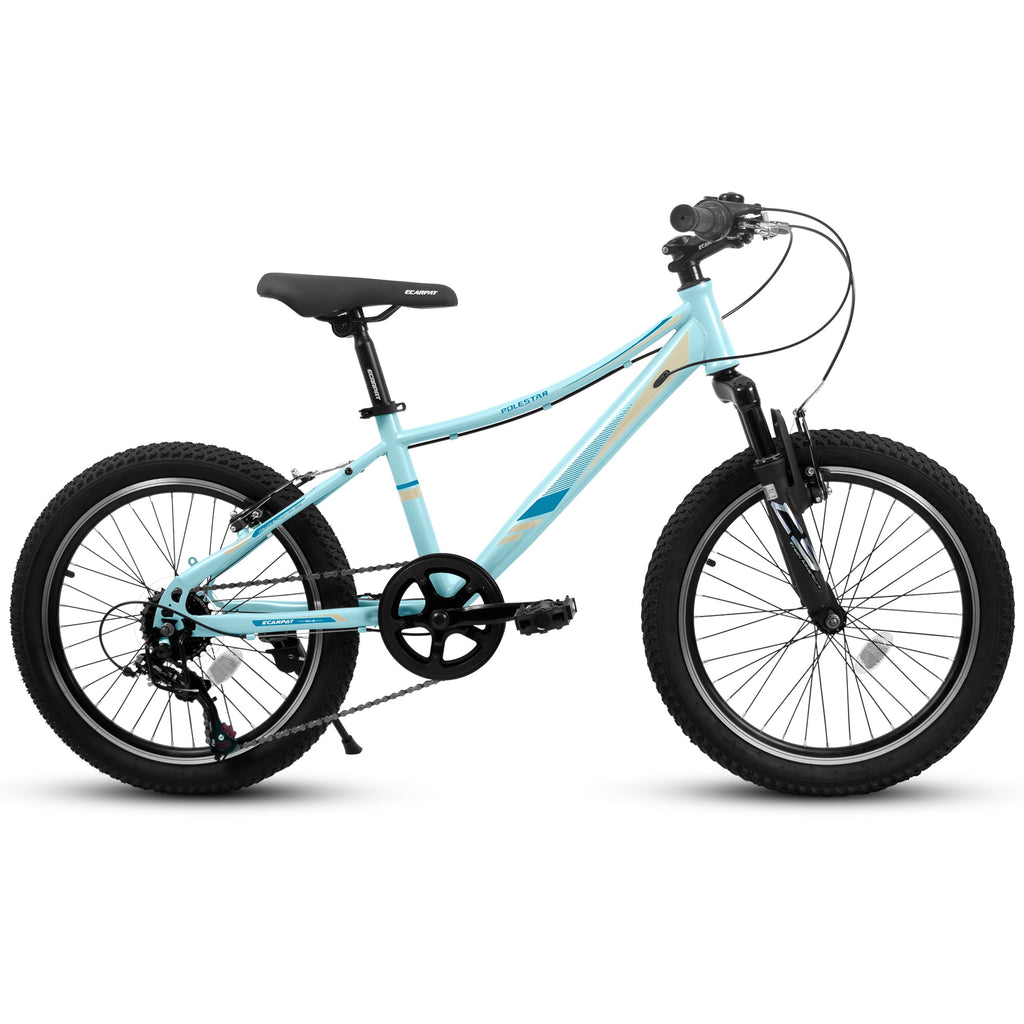 Ambifirner 20" City Bike with Adjustable Saddle & Kickstand Steel Frame
